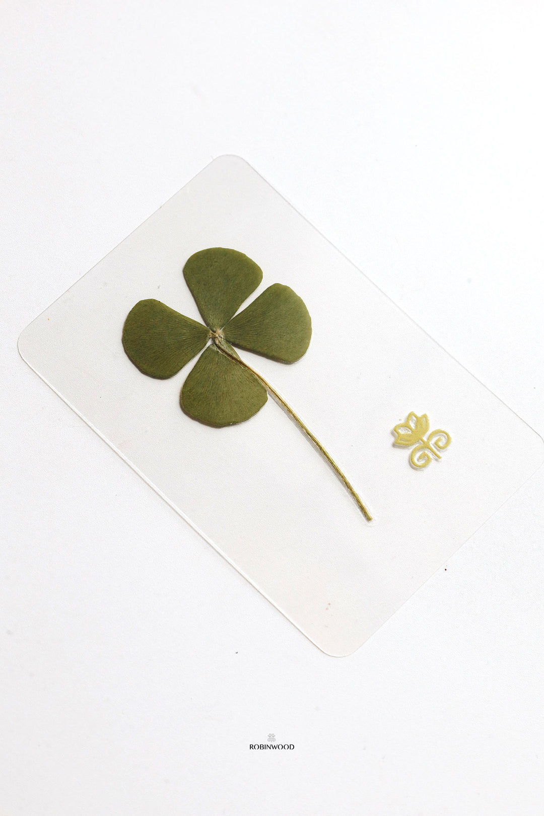 Preserve Flower  " Dried Four Leaf Clover Card ", Symbol of Lucky, Love, Health, Hope