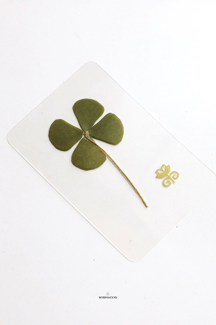 Preserve Flower  " Dried Four Leaf Clover Card ", Symbol of Lucky, Love, Health, Hope