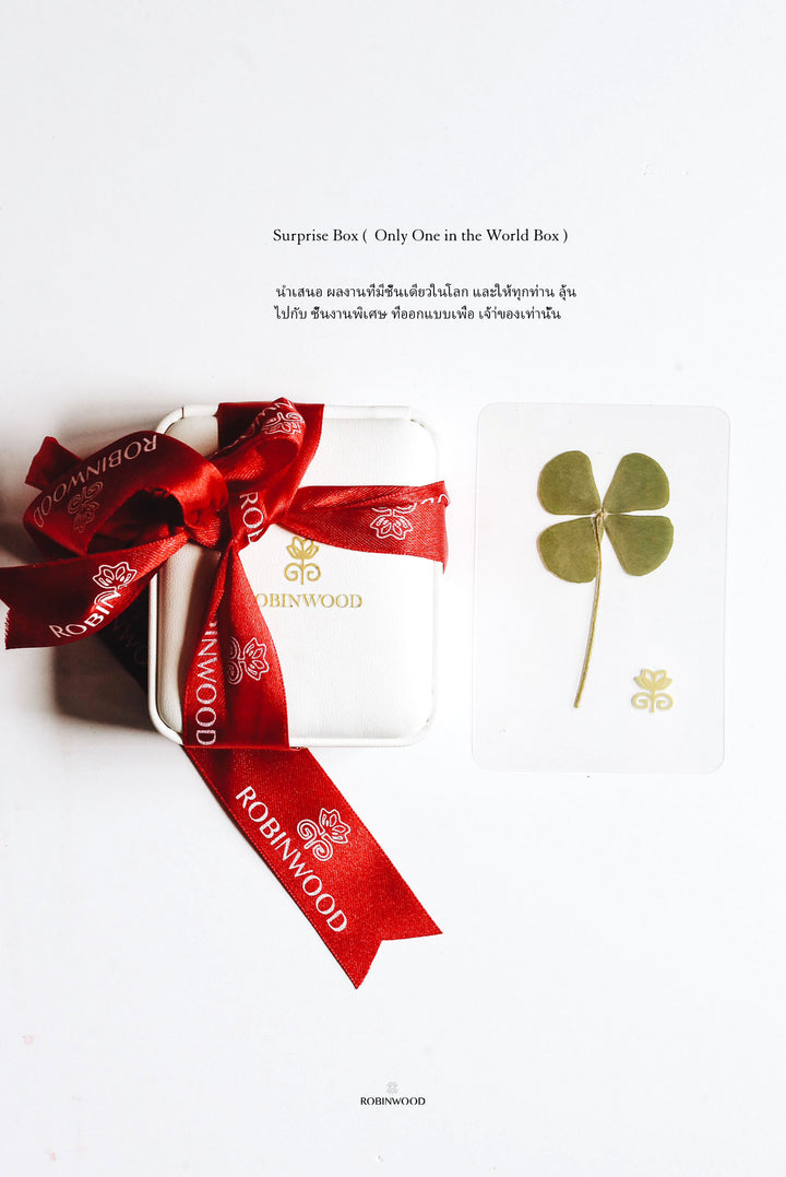 Surprise RBW Box (  Only One In the World Box )