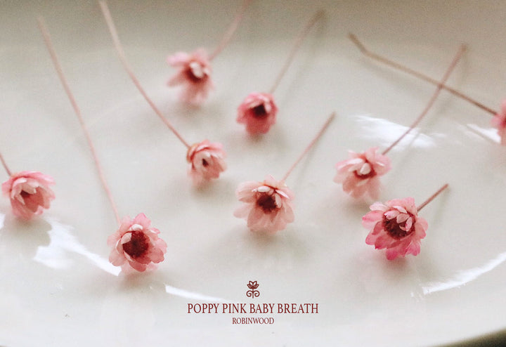 " November Collection's ", Infinity Love & Pink Bird Nest Design ", Rosegold Necklace, Robinwood