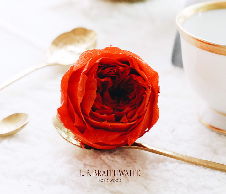L. B. BRAITHWAITE, RED, ROBINWOOD, VALENTINE BOX