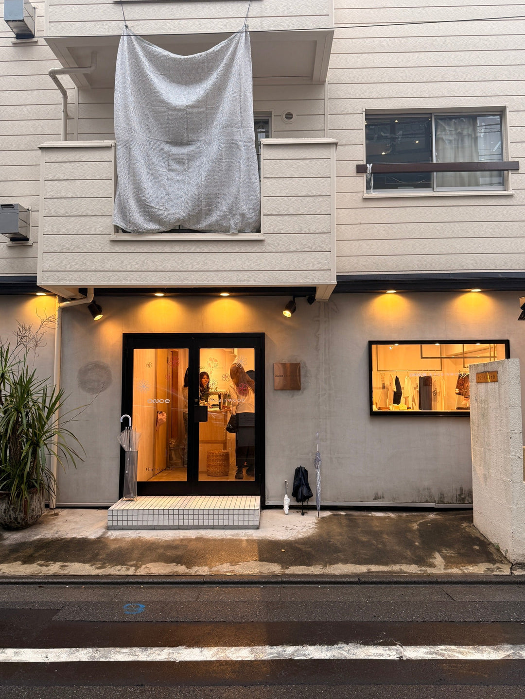 เรื่องราวของ Robinwood จากเมล็ดแดนดิไลออนหนึ่งเม็ด สู่ดอกไม้ทั่วโลกที่เก็บไว้ได้ตลอดชีวิต