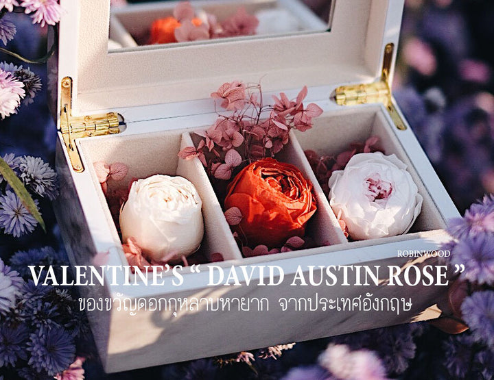 VALENTINE BOX, DAVID AUSTIN ROSE, ROBINWOOD, SPECIAL SERIES ( เฉพาะกล่องดอกไม้ )