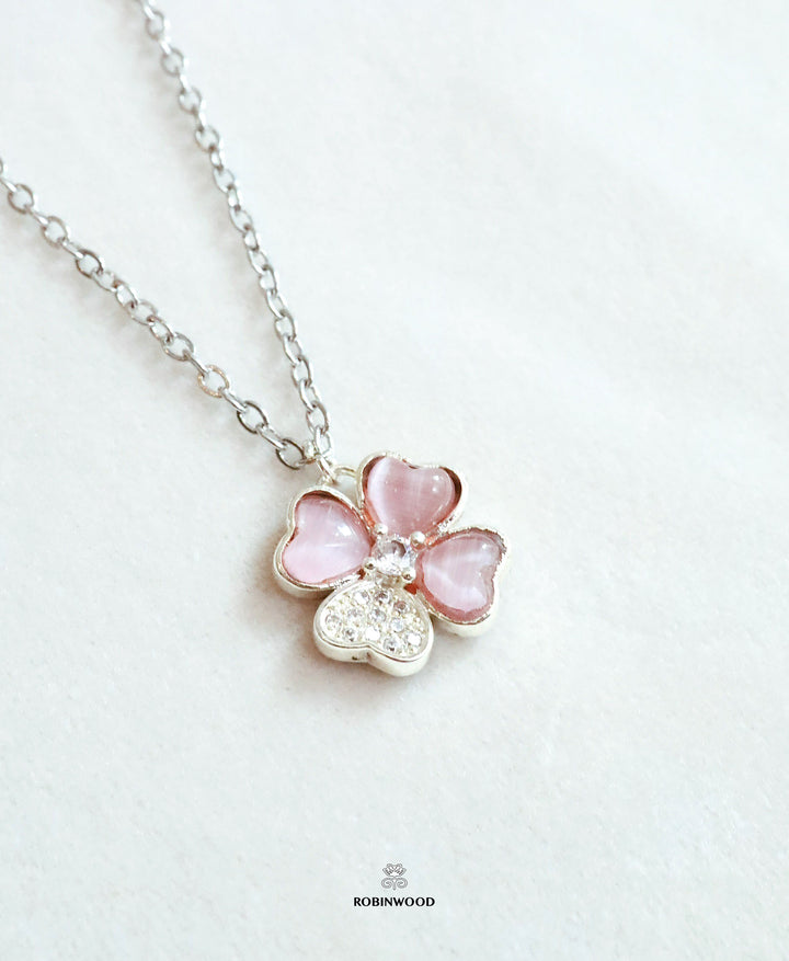 Pre-order Limited Collection&