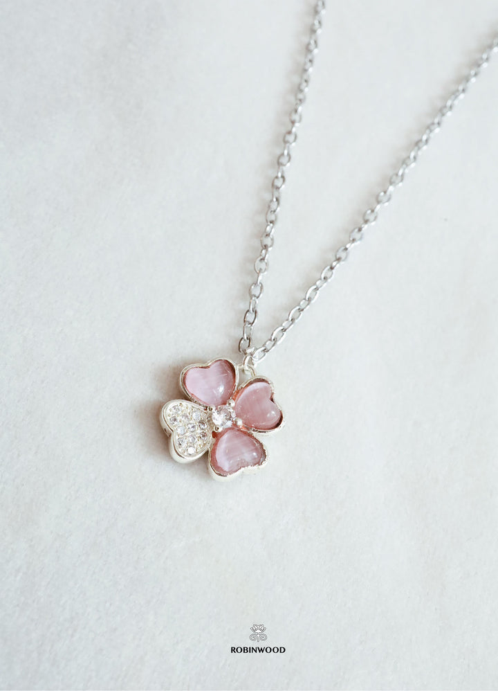 Pre-order Limited Collection&
