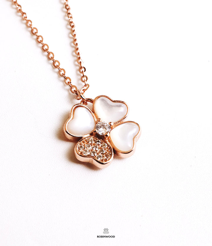 Limited Collection&