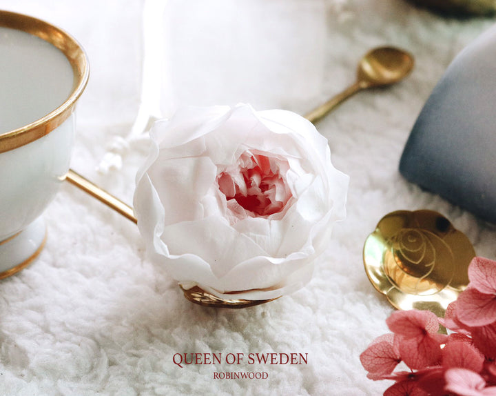 QUEEN OF SWEDEN, WHITE & PINK COLOR, ROBINWOOD, VALENTINE BOX